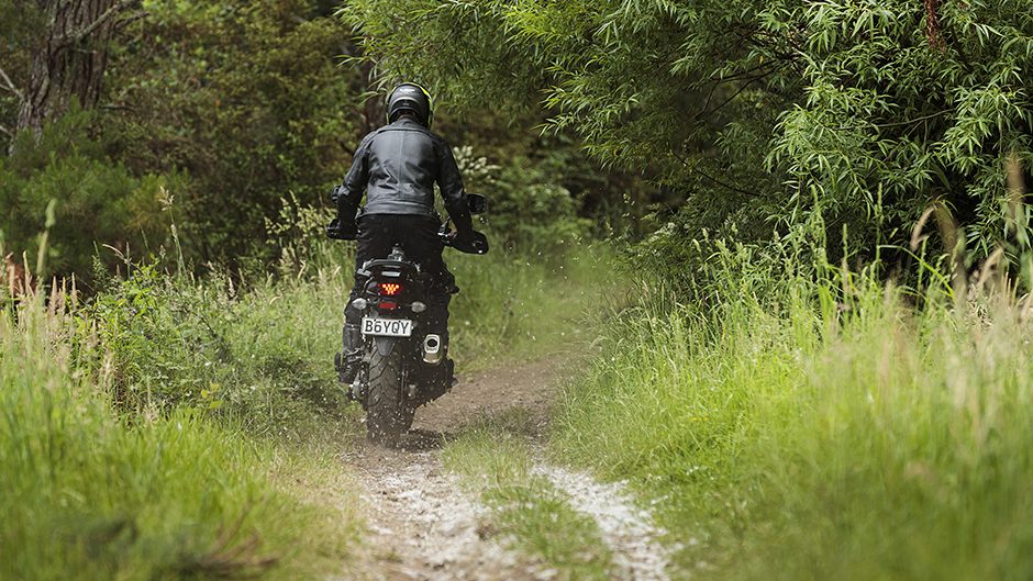 Suzuki V-Strom 650A rear dirt action