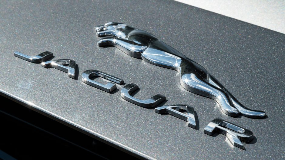Jaguar badge close up view