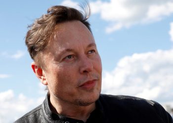 Elon Musk face