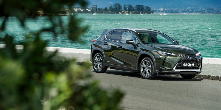 Lexus UX300e static dps