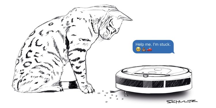 cat looking at robot vacuum cleaner