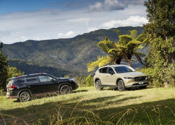 Mazda CX-5 Activ vs Subaru Forester X-Sport on hill overlooking bush