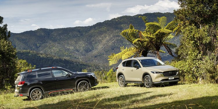 Mazda CX-5 Activ vs Subaru Forester X-Sport on hill overlooking bush