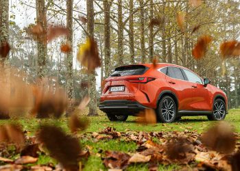 2022 Lexus NX 350h Limited surrounded by falling leaves