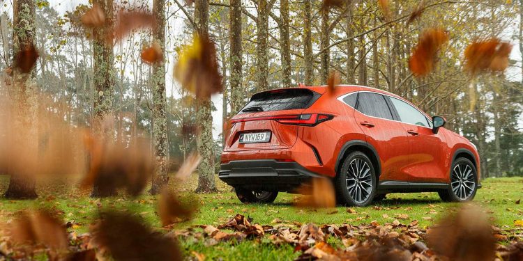 2022 Lexus NX 350h Limited surrounded by falling leaves