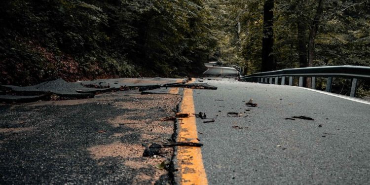 Potholed road through trees