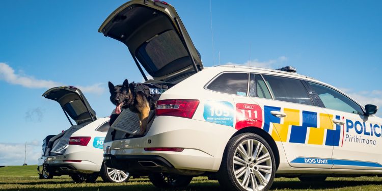 New Zealand Police Skoda Superb Dog Unit with boot open