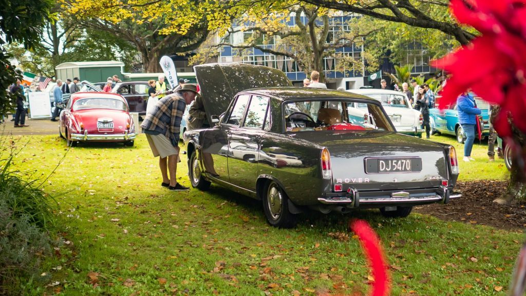 Rover under tree at Ellerslie Car Show