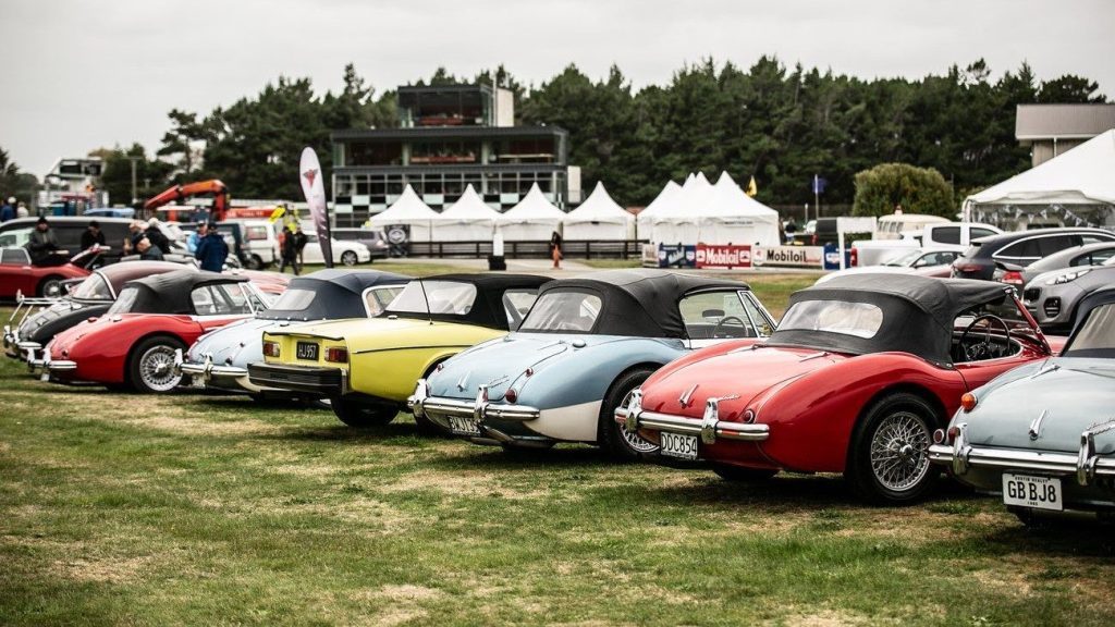 Line up of classic cars at 2023 George Begg Festival