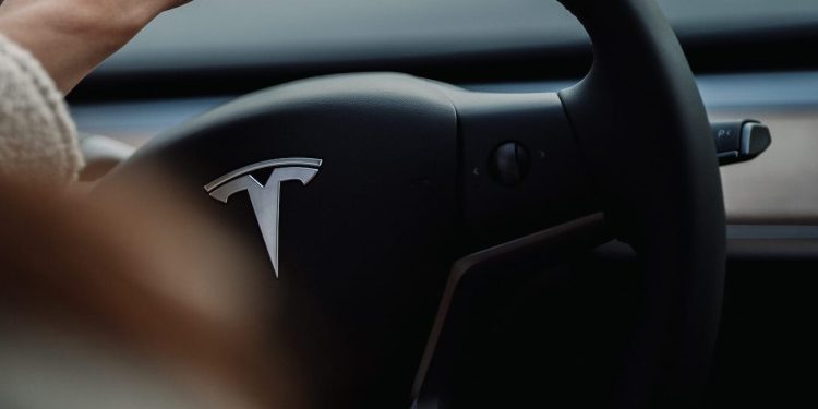 Person holding Tesla steering wheel