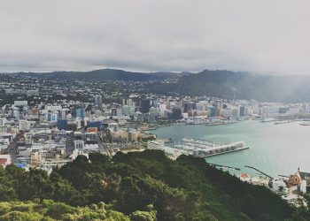 Wellington city and harbour