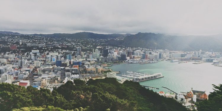 Wellington city and harbour