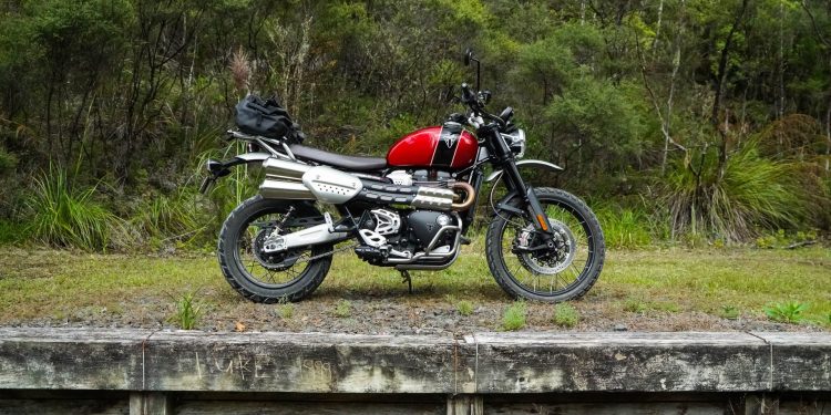 Triumph Scrambler 1200 XC parked up high