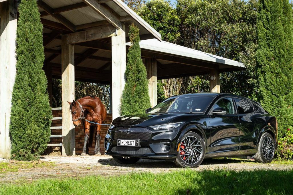 Mustang Mach-E with horse