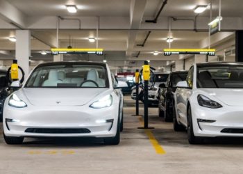 Tesla Model 3s at Hertz rental car lot