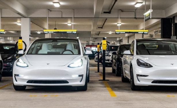 Tesla Model 3s at Hertz rental car lot