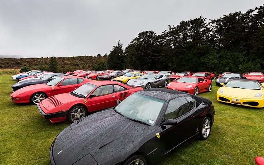Collection of Ferraris parked in field