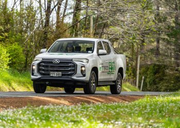 LDV e-T60 driving on a backroad