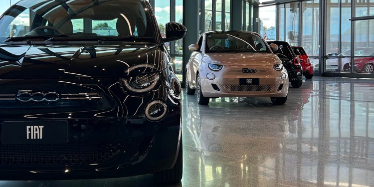 Line-up of Fiat 500s at North Shore Andrew Simms dealership