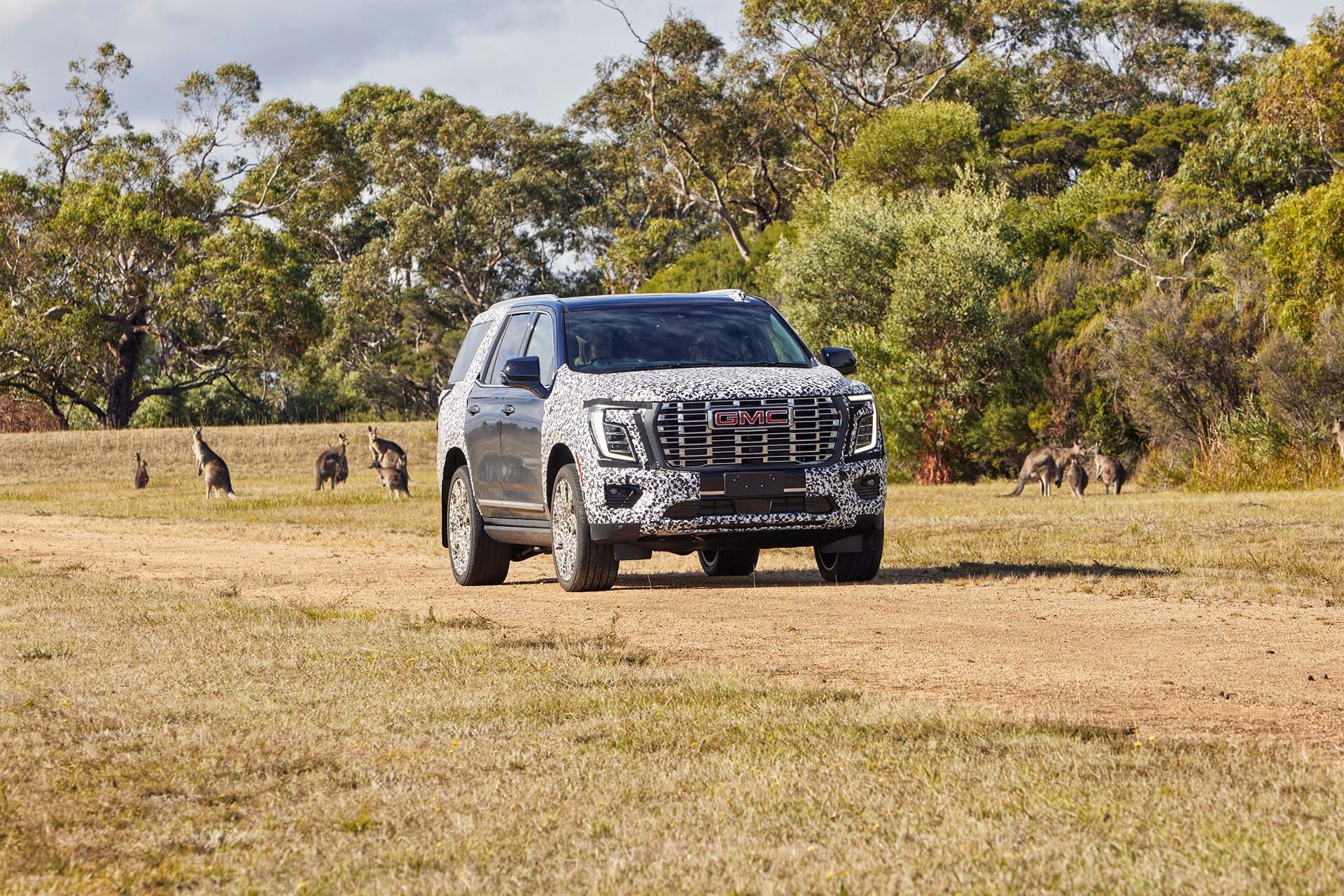 GMC Yukon fleeing from roos.