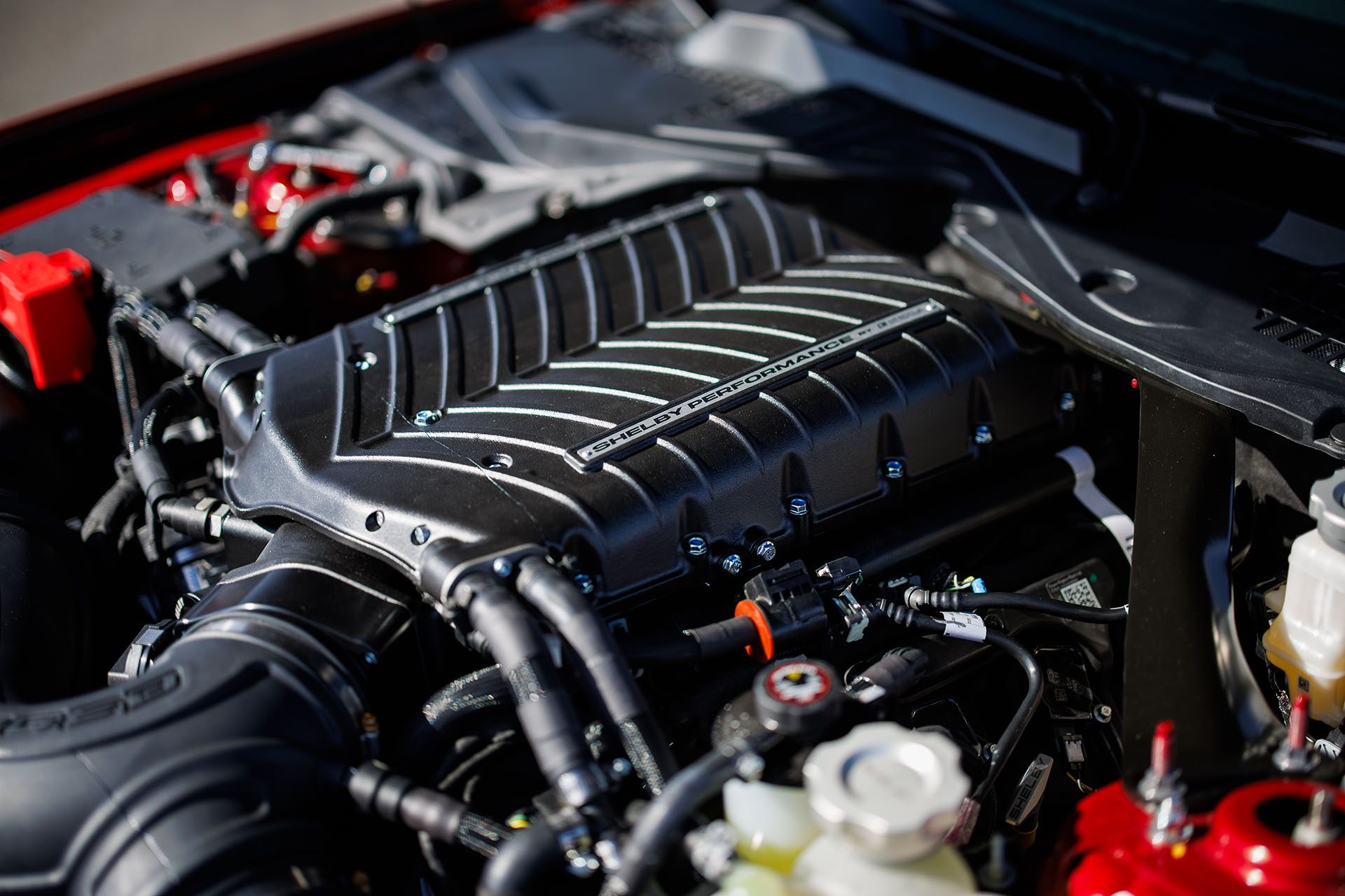 What lies beneath the bonnet of the new Shelby.