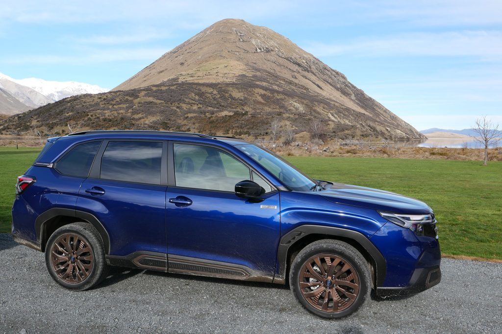 Forester taking a break at Lake Heron.