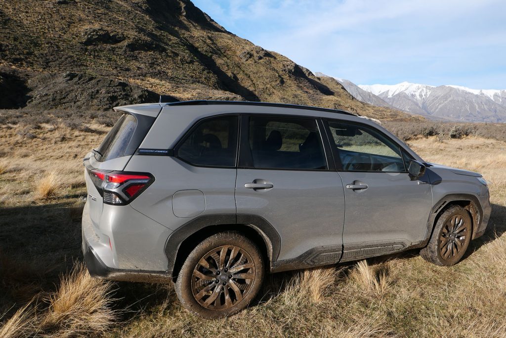 Forester in its element.