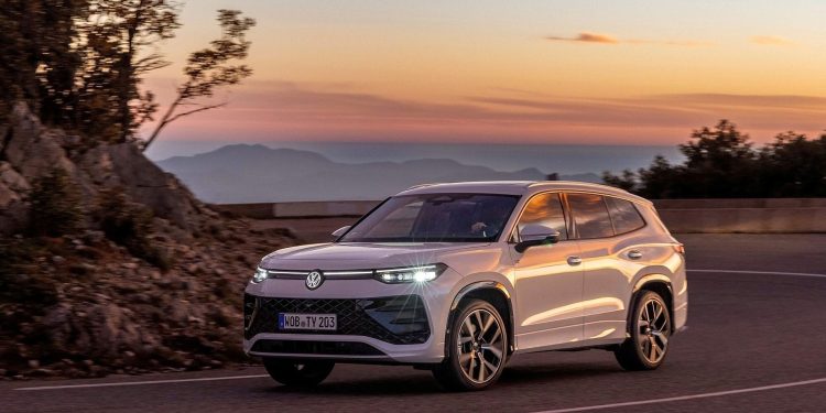 White Tayron pictured at sunset