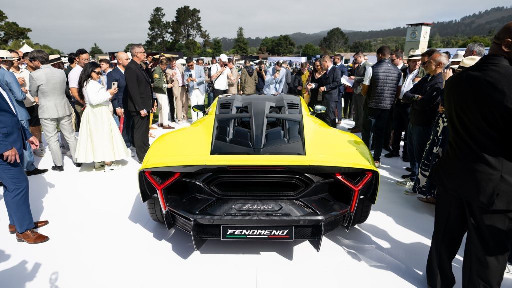 A seriously muscular tail for the Fenomeno1. All business.