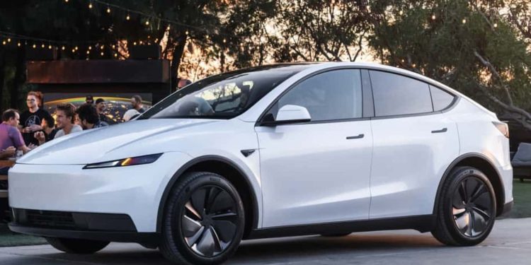 Tesla Model Y Standard under the trees